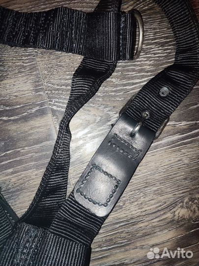 Ошейник и шлейка для большой собаки