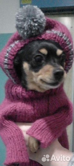 Вяжу одежду на собак и кошек