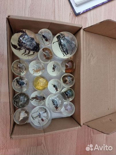 Коллекция чудеса природы