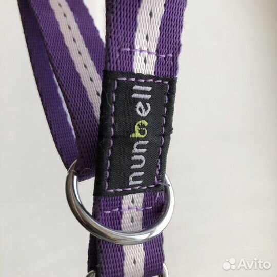 Амуниция для собак