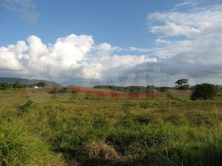 Участок 12 сот. (ИЖС)