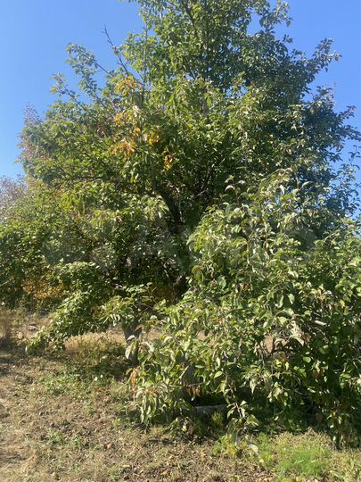 Дача 10 м² на участке 6 сот.