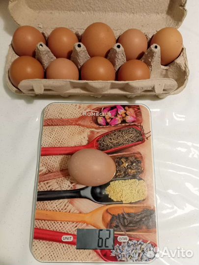 Домашние куриные яйца