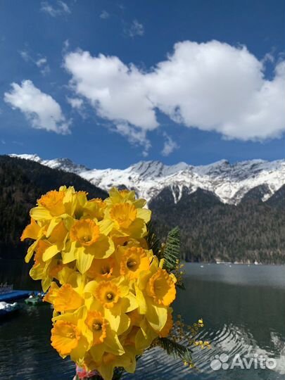 Джип тур в Абхазию экскурсия ежедневно