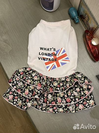 Одежда для маленьких собак