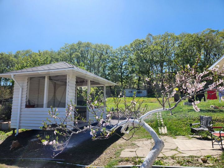 Дом 55 м² на участке 12 сот.