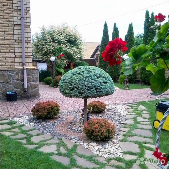 Камень для альпийских горок