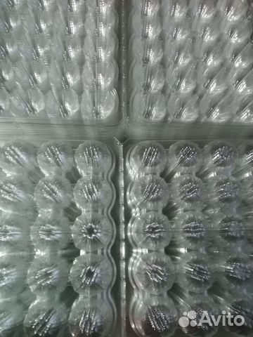 Лотки для перепелиных яиц