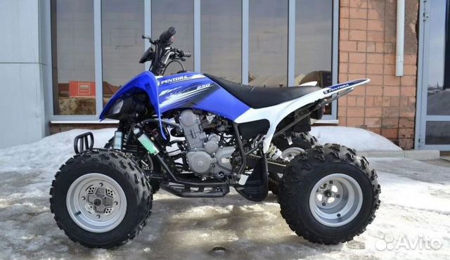 Квадроцикл Motoland ATV 250 S синий