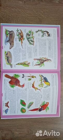 Атлас животных