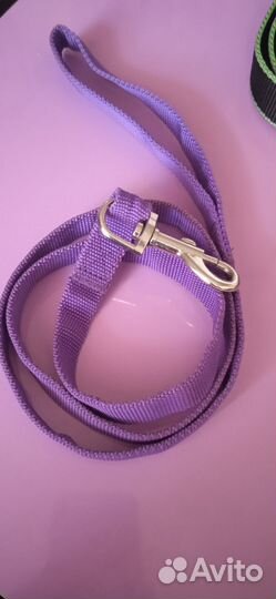 Амуниция для собак