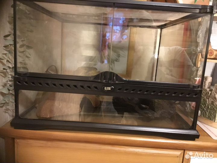 Террариум для рептилий exo terra 45x45x30 см