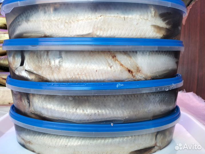 Сельдь Слабосол (Пряная)