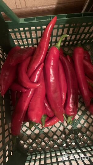 Перец свежий острый