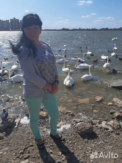 Помощник, ученик агента по недвижимости