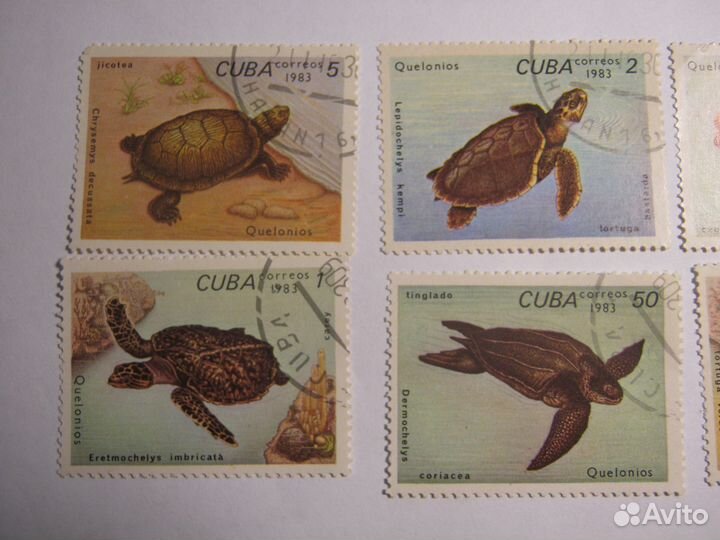 Набор марок Черепахи