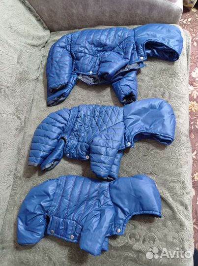 Одежда для средних собак