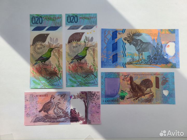 Тестовые банкноты 