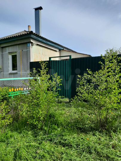 Дом 58,9 м² на участке 50 сот.