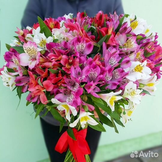 Цветы Альтромерия. Букеты