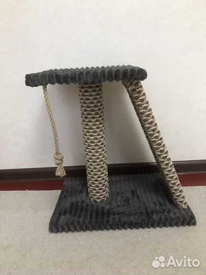 Когтеточка