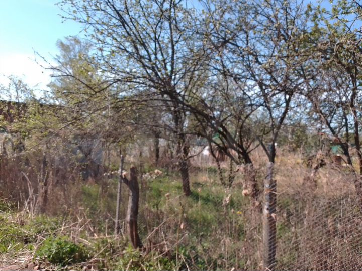 Участок 4 сот. (СНТ, ДНП)