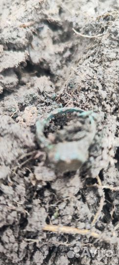 Металлоискатель minelab equinox 800