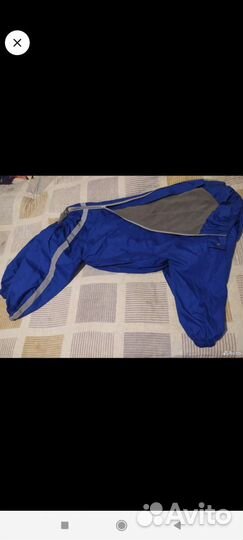 Одежда для собак