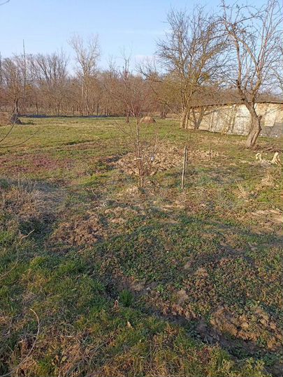 Участок 11,3 сот. (ИЖС)