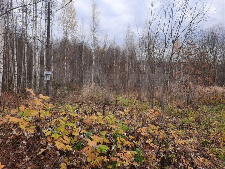 Участок 26 сот. (ИЖС)