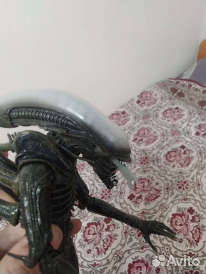 Ксеноморф (Чужой, Alien)