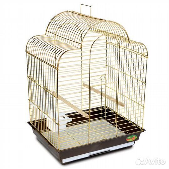 Птенцы попугаев корелла, клетки