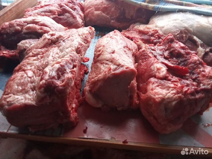 Мясо свинина