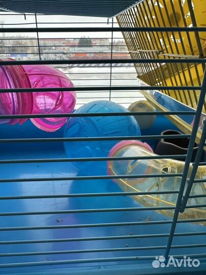 Клетка для крыс, хомяков, морской свинки