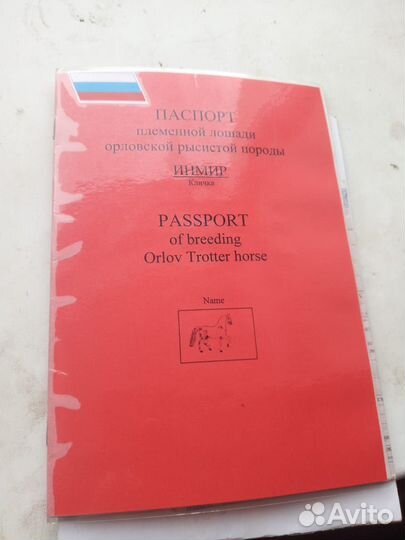 Продам жеребца