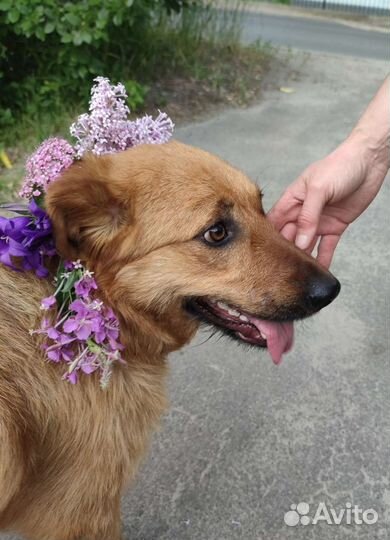 Белочка 1 годик