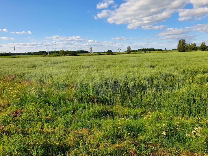 Участок 5 га (СНТ, ДНП)