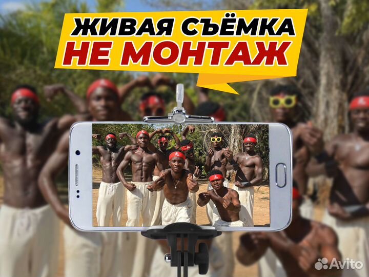 Поздравление из Африки на День Рождения, Свадьбу