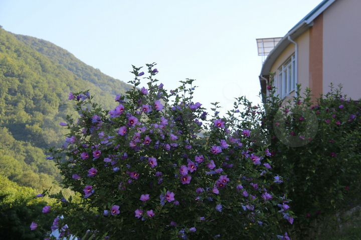 Комната 30 м² в 1-к., 2/4 эт.