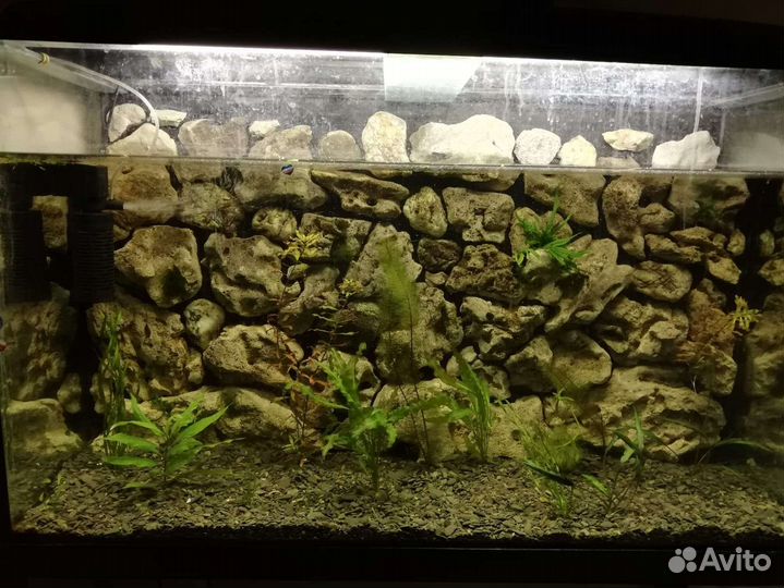 Аквариум