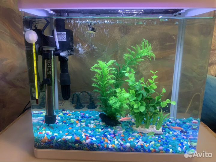 Украшение для аквариума, аквариум, рыбы