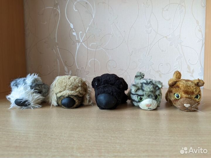 The dog collection