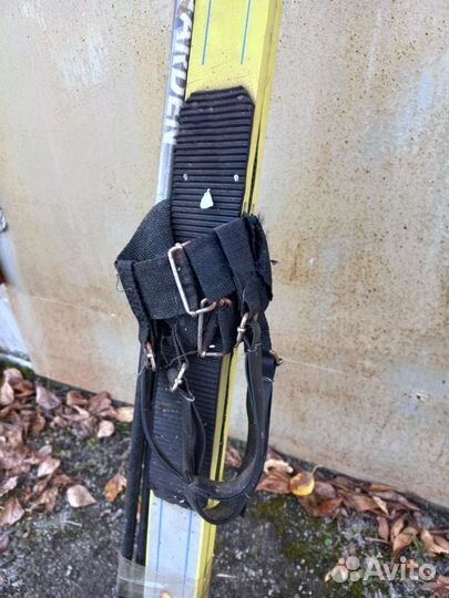 Беговые лыжи дерево