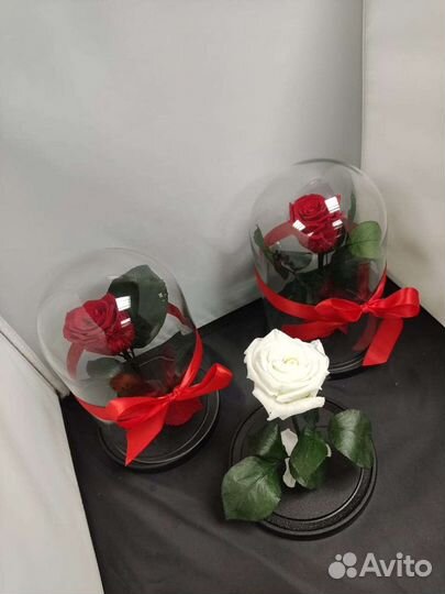 Роза в колбе