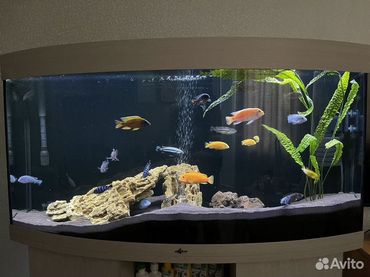 Аквариум панорама 320