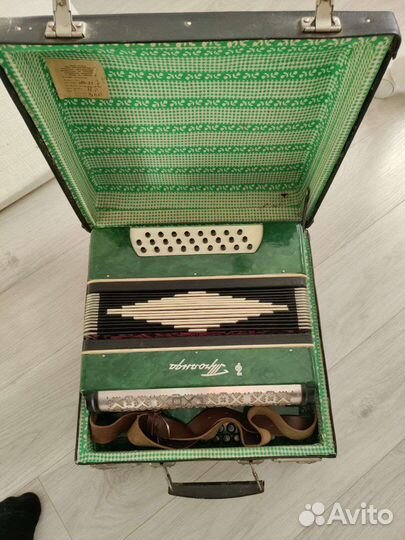 Гармонь троянда