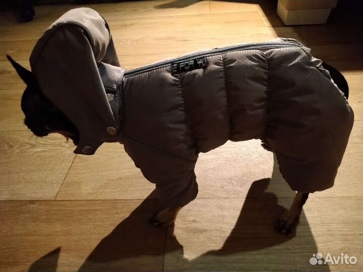 Зимний костюм для собак