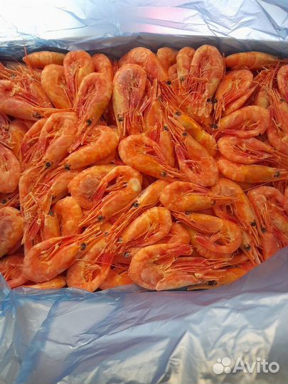 Рыба и морепродукты