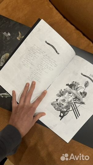 Винил mujuice downshifting