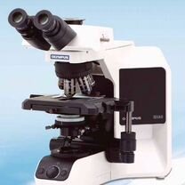 Микроскоп Olympus BX43F Trinocular